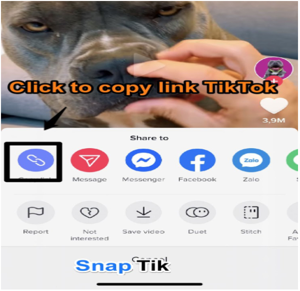 Snaptik.app - Cara Download Video TikTok